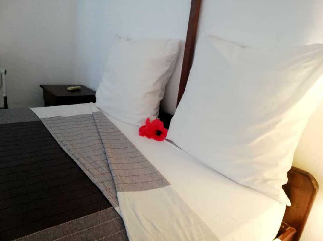 Hotel Jardin De La Paix Морони Экстерьер фото